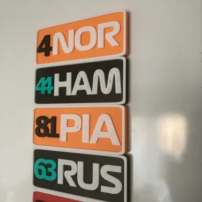 aimant f1