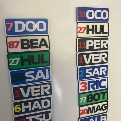 aimant f1