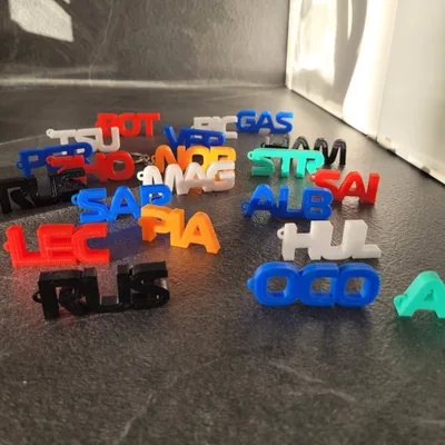 porte clés f1 nom