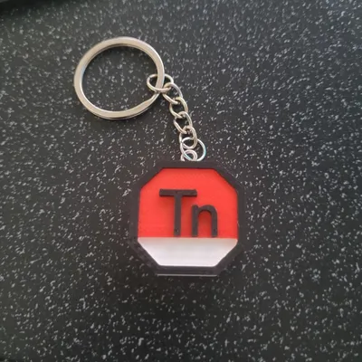 porte clés logo tn