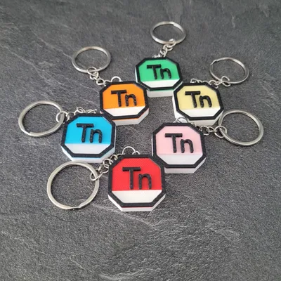 porte clés logo tn