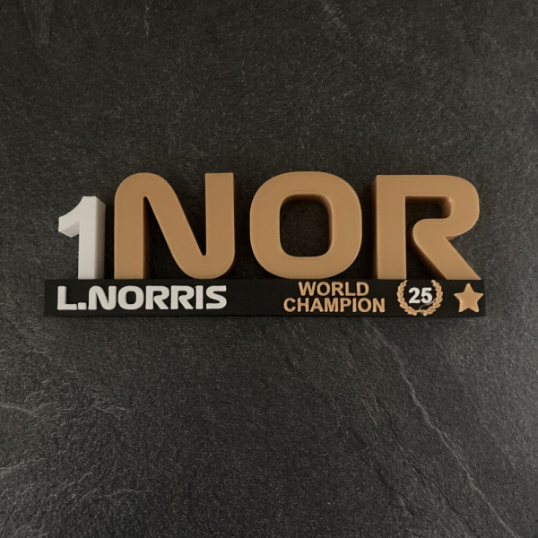 logo norris champion 2025